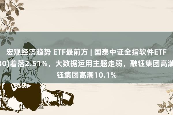 宏观经济趋势 ETF最前方 | 国泰中证全指软件ETF(515230)着落2.51%，大数据运用主题走弱，融钰集团高潮10.1%