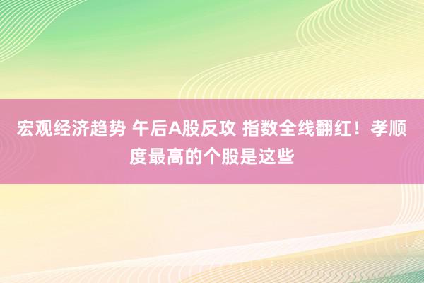 宏观经济趋势 午后A股反攻 指数全线翻红！孝顺度最高的个股是这些