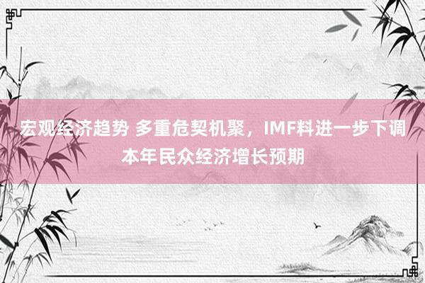 宏观经济趋势 多重危契机聚，IMF料进一步下调本年民众经济增长预期