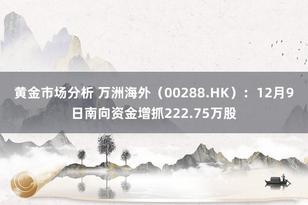 黄金市场分析 万洲海外（00288.HK）：12月9日南向资金增抓222.75万股