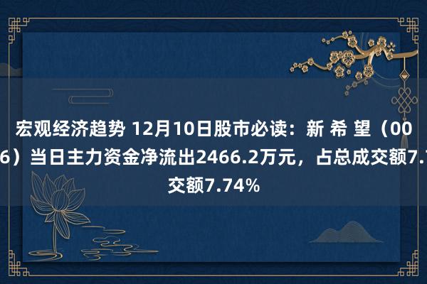 宏观经济趋势 12月10日股市必读：新 希 望（000876）当日主力资金净流出2466.2万元，占总成交额7.74%