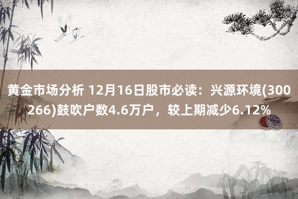 黄金市场分析 12月16日股市必读：兴源环境(300266)鼓吹户数4.6万户，较上期减少6.12%