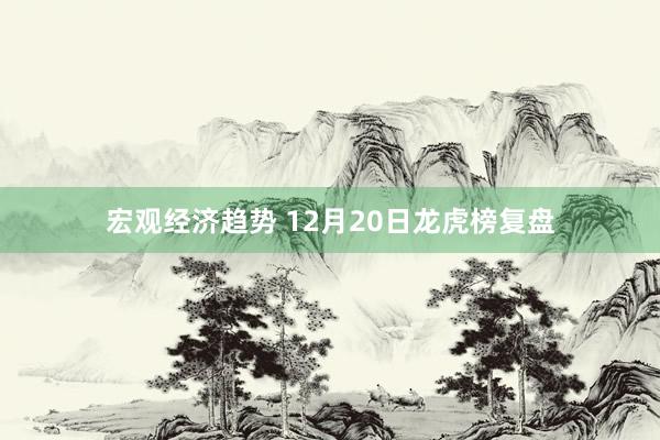 宏观经济趋势 12月20日龙虎榜复盘