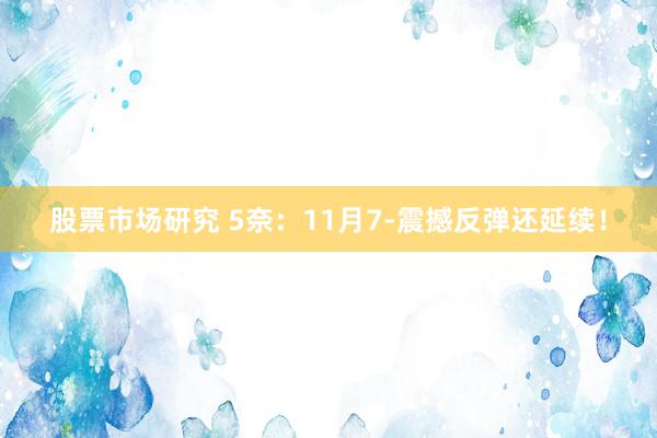 股票市场研究 5奈：11月7-震撼反弹还延续！