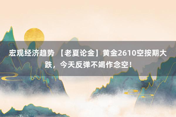 宏观经济趋势 【老夏论金】黄金2610空按期大跌，今天反弹不竭作念空！