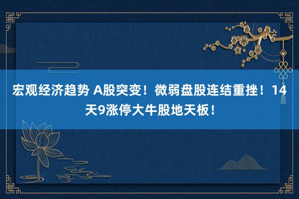 宏观经济趋势 A股突变！微弱盘股连结重挫！14天9涨停大牛股地天板！