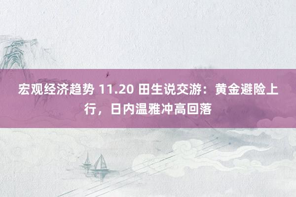 宏观经济趋势 11.20 田生说交游：黄金避险上行，日内温雅冲高回落