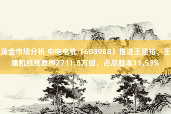 黄金市场分析 中电电机（603988）推进王建裕、王建凯统统质押2711.8万股，占总股本11.53%