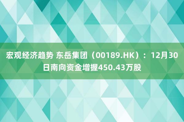 宏观经济趋势 东岳集团（00189.HK）：12月30日南向资金增握450.43万股