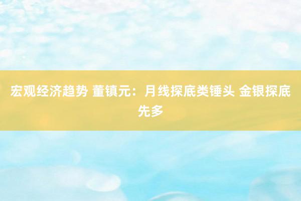 宏观经济趋势 董镇元：月线探底类锤头 金银探底先多