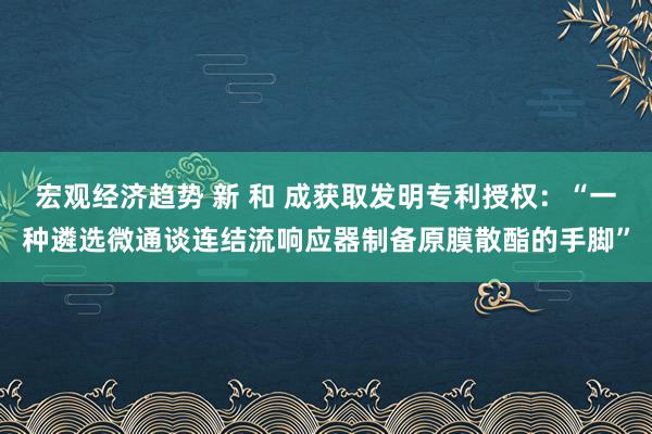 宏观经济趋势 新 和 成获取发明专利授权：“一种遴选微通谈连结流响应器制备原膜散酯的手脚”