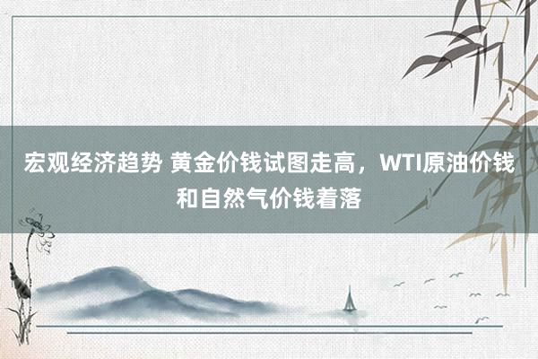 宏观经济趋势 黄金价钱试图走高，WTI原油价钱和自然气价钱着落