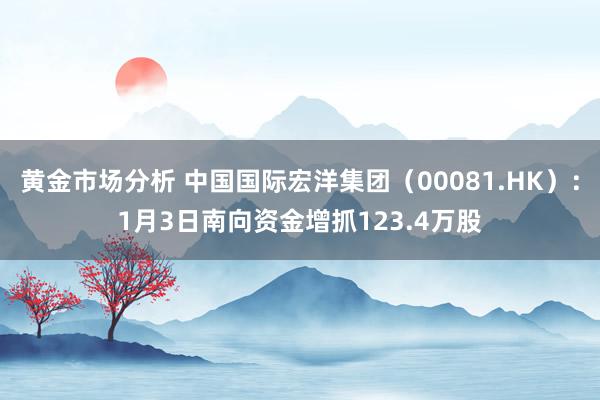 黄金市场分析 中国国际宏洋集团（00081.HK）：1月3日南向资金增抓123.4万股