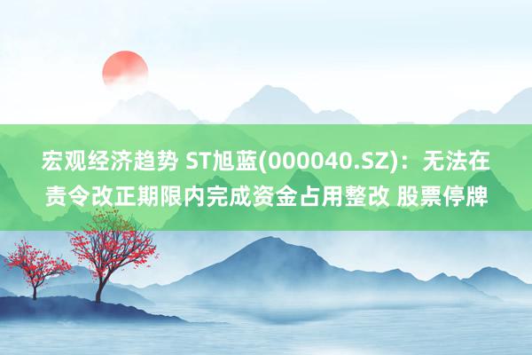 宏观经济趋势 ST旭蓝(000040.SZ)：无法在责令改正期限内完成资金占用整改 股票停牌