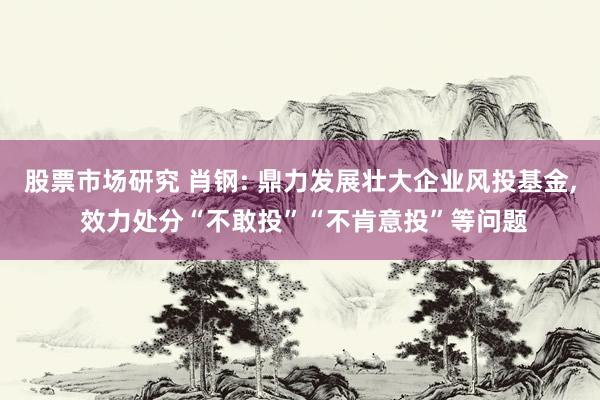 股票市场研究 肖钢: 鼎力发展壮大企业风投基金, 效力处分“不敢投”“不肯意投”等问题