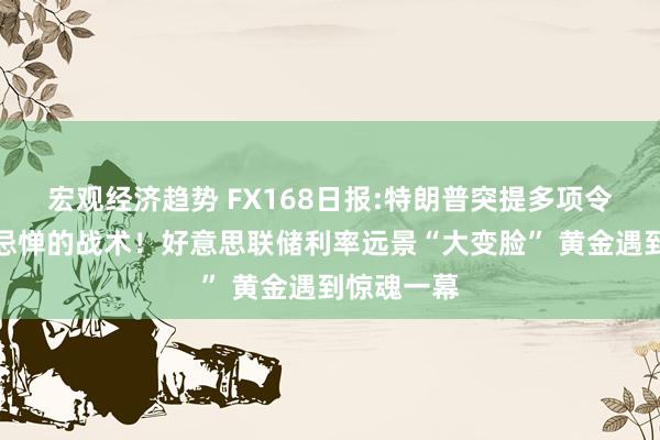 宏观经济趋势 FX168日报:特朗普突提多项令东说念主忌惮的战术！好意思联储利率远景“大变脸” 黄金遇到惊魂一幕