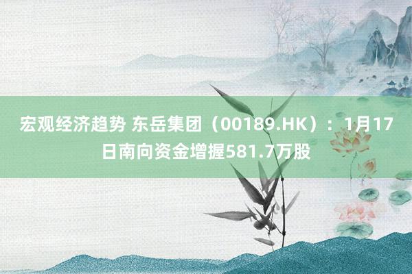 宏观经济趋势 东岳集团（00189.HK）：1月17日南向资金增握581.7万股