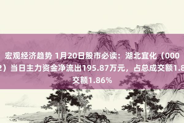 宏观经济趋势 1月20日股市必读：湖北宜化（000422）当日主力资金净流出195.87万元，占总成交额1.86%