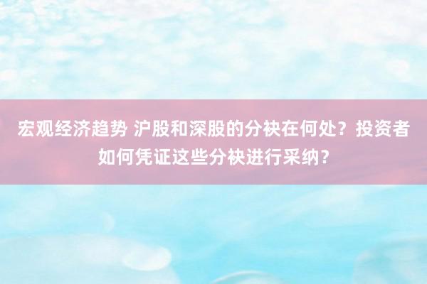 宏观经济趋势 沪股和深股的分袂在何处？投资者如何凭证这些分袂进行采纳？