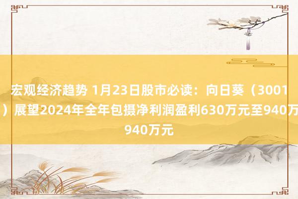 宏观经济趋势 1月23日股市必读：向日葵（300111）展望2024年全年包摄净利润盈利630万元至940万元