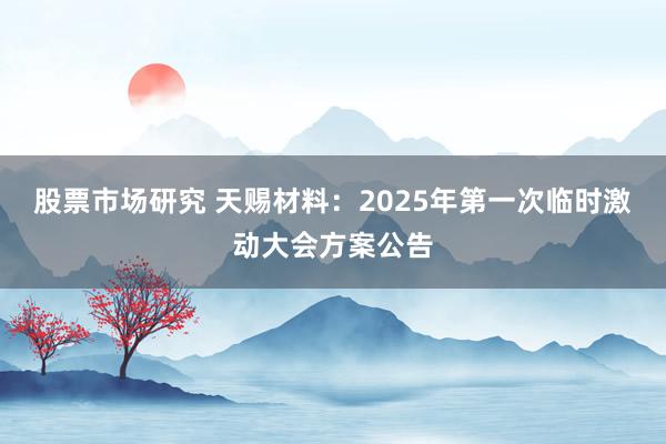 股票市场研究 天赐材料：2025年第一次临时激动大会方案公告