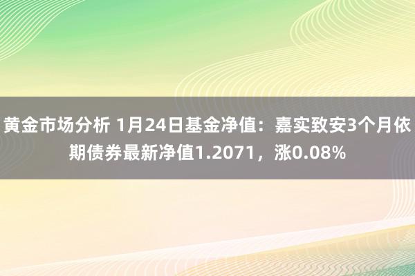 黄金市场分析 1月24日基金净值：嘉实致安3个月依期债券最新净值1.2071，涨0.08%