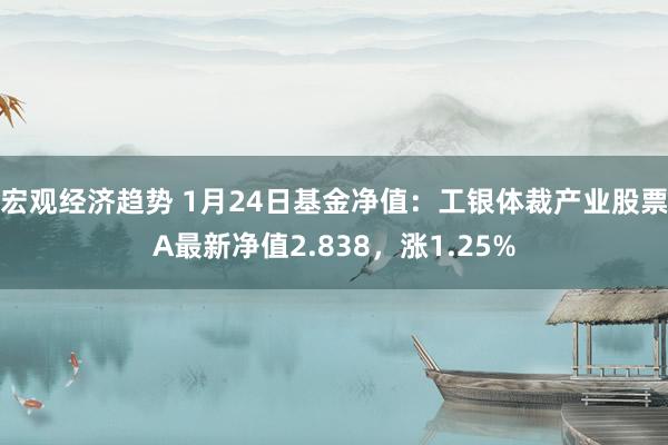 宏观经济趋势 1月24日基金净值：工银体裁产业股票A最新净值2.838，涨1.25%