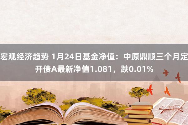 宏观经济趋势 1月24日基金净值：中原鼎顺三个月定开债A最新净值1.081，跌0.01%