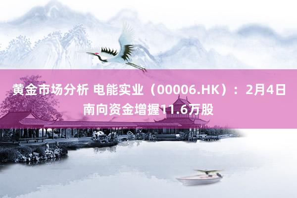 黄金市场分析 电能实业（00006.HK）：2月4日南向资金增握11.6万股