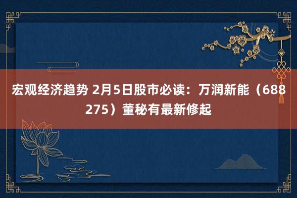 宏观经济趋势 2月5日股市必读：万润新能（688275）董秘有最新修起