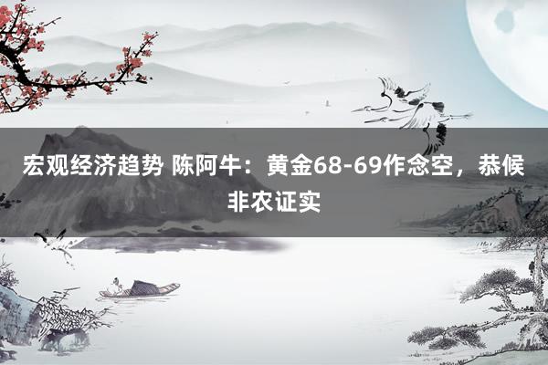 宏观经济趋势 陈阿牛：黄金68-69作念空，恭候非农证实