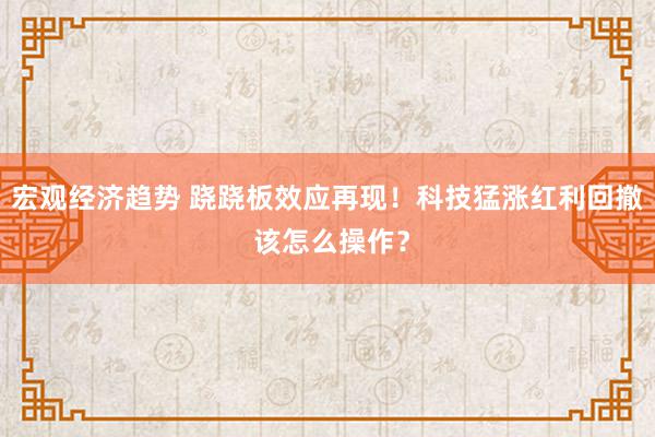 宏观经济趋势 跷跷板效应再现！科技猛涨红利回撤 该怎么操作？