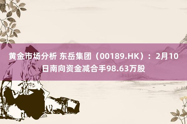 黄金市场分析 东岳集团（00189.HK）：2月10日南向资金减合手98.63万股