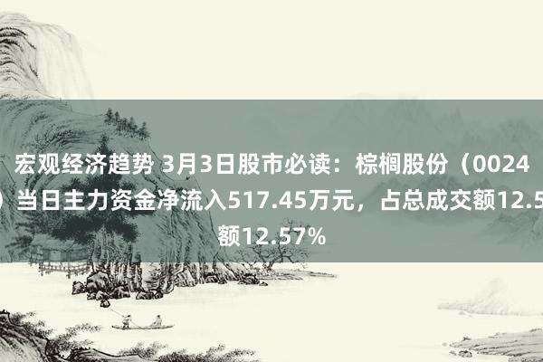 宏观经济趋势 3月3日股市必读：棕榈股份（002431）当日主力资金净流入517.45万元，占总成交额12.57%