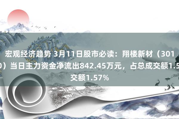 宏观经济趋势 3月11日股市必读：翔楼新材（301160）当日主力资金净流出842.45万元，占总成交额1.57%