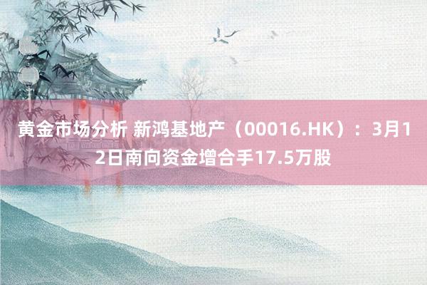 黄金市场分析 新鸿基地产（00016.HK）：3月12日南向资金增合手17.5万股