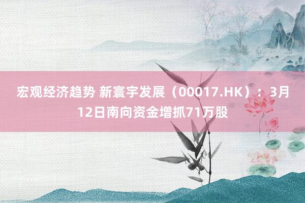 宏观经济趋势 新寰宇发展（00017.HK）：3月12日南向资金增抓71万股