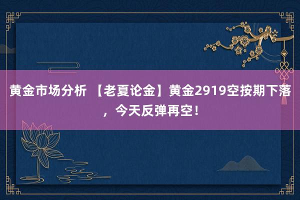 黄金市场分析 【老夏论金】黄金2919空按期下落，今天反弹再空！