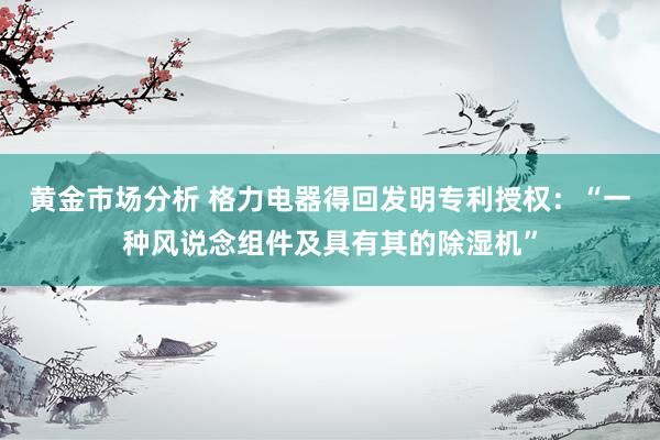 黄金市场分析 格力电器得回发明专利授权：“一种风说念组件及具有其的除湿机”