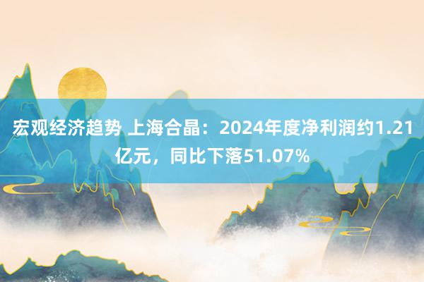 宏观经济趋势 上海合晶：2024年度净利润约1.21亿元，同比下落51.07%