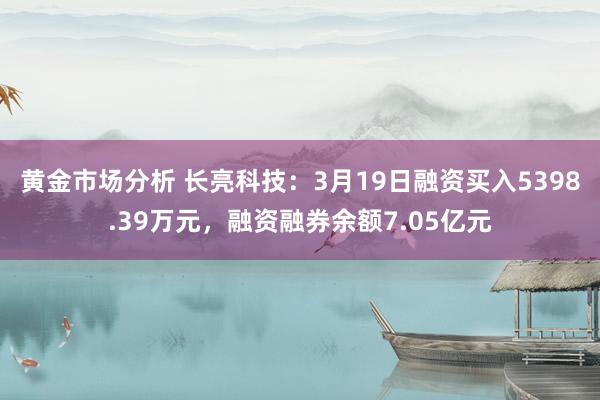 黄金市场分析 长亮科技：3月19日融资买入5398.39万元，融资融券余额7.05亿元